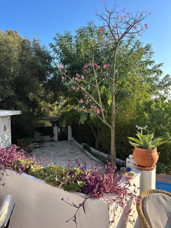 B98Le8~d7M9k3DegpEFZhS0lI_F8U4XZVz~HWxt~mGgYekxX9nCAxh0ZipZlAjNxEM6s1ur~IyRoHk21zVXx39XWT2D9Fp8yWb6eeHb9SawLx2ZS2An_0O81TPLinbIJBeCW5Vxcl_wjFL~kSwm9 image