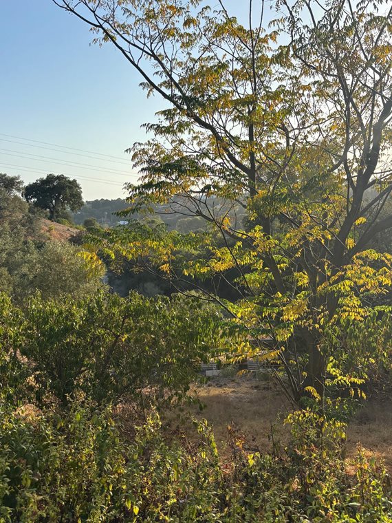 B98Le8~d7M9k3DegpEFZhS0lI_F8U4XZVz~HWxt~mGgYekxX9nCAxh0ZipZlAjNxEM6s1ur~IyRoHk21zVXx39XWT2D9Fp9oioLi2wmv0qnhQpQOnZqYYFp3zQR6zt7BNNk1i89UA6Wu88aJfE9A image