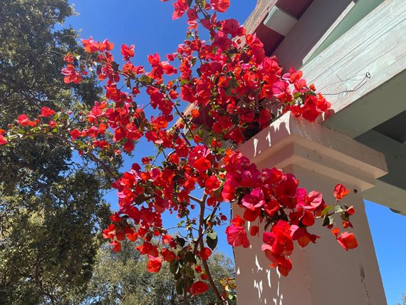 B98Le8~d7M9k3DegpEFZhS0lI_F8U4XZVz~HWxt~mGgYekxX9nCAxh0ZipZlAjNxEM6s1ur~IyRoHk21zVXx39XWTj0JB2QgBwtLp2vPvlXbdz0kl6svgrrgRpE2oZDGxG_ywc3oBDwM1pXREN4i image