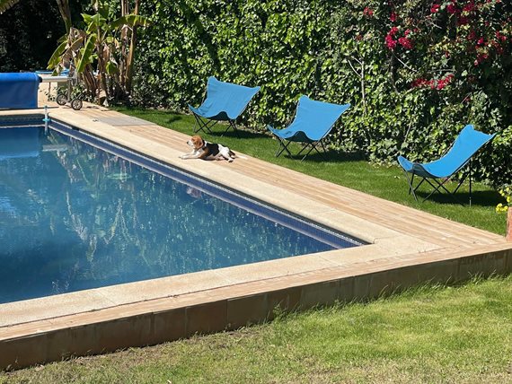 B98Le8~d7M9k3DegpEFZhS0lI_F8U4XZVz~HWxt~mGgYekxX9nCAxh0ZipZlAjNxEM6s1ur~IyRoHk21zVXx39XWTj0JB2Qm5zUi1a1fymp4q9qYZQj2cDCfNVnQifuUQDHD7pTjGscs6s5HGgyZ image