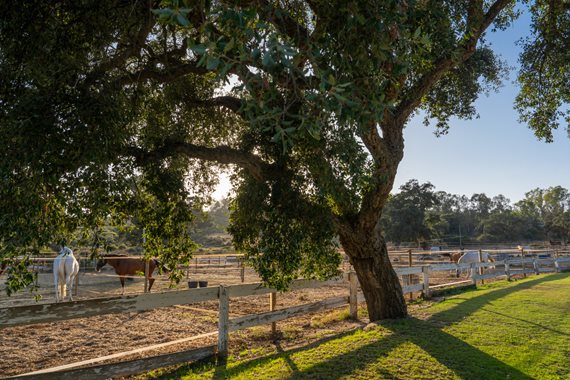 B98Le8~d7M9k3DegpEFZhS0lI_F8U4XZVz~HWxt~mGgYekxX9nCAxh0ZipZlAjNxEM6s1ur~IyRoHk21zVXx39XWTjyDrhskoz9ehlRc6OTDu0rgcM8nuMp7QA2FaKcs8yzBd6VW~5SjA52Iv5s~ image