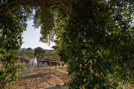 B98Le8~d7M9k3DegpEFZhS0lI_F8U4XZVz~HWxt~mGgYekxX9nCAxh0ZipZlAjNxEM6s1ur~IyRoHk21zVXx39XWTjyDrhsnlpHy9UBOGdwdVBDP~slRwwe2fCIGB98FPs2ZDnWzT4ZmSFCK8wLe image