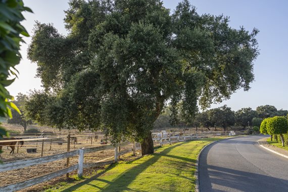 B98Le8~d7M9k3DegpEFZhS0lI_F8U4XZVz~HWxt~mGgYekxX9nCAxh0ZipZlAjNxEM6s1ur~IyRoHk21zVXx39XWTjyDrhsnzV6qU0lsjcPbX2xtjuXPsZFZtLrvuhC~onQOO1vqCy2IfpLkP__k image