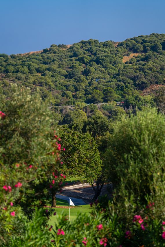 B98Le8~d7M9k3DegpEFZhS0lI_F8U4XZVz~HWxt~mGgYekxX9nCAxh0ZipZlAjNxEM6s1ur~IyRoHk21zVXx39XWTjyDrht1M4sSdvGICJVZOIT8cFcEVv0a6TBinJj0mHQUK73vwAdm2J0~aW6d image