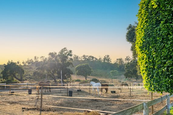 B98Le8~d7M9k3DegpEFZhS0lI_F8U4XZVz~HWxt~mGgYekxX9nCAxh0ZipZlAjNxEM6s1ur~IyRoHk21zVXx39XWTjyDrhtzS5yY20g_01ETDnyW2XqB9vfm48kV5NN51FXObpXALl_bSeLWUrtl image