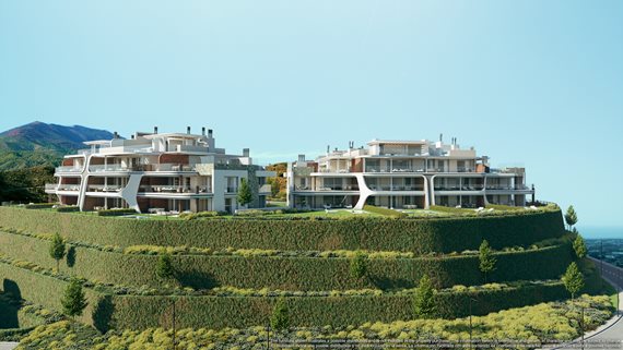 Enebro_12 image