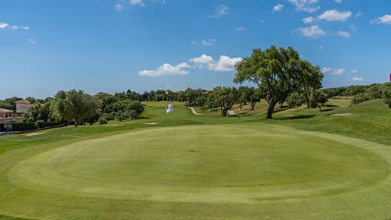 Immobilien San Roque Golf-1193-33 image