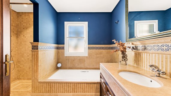 Villa Haveli_11 image