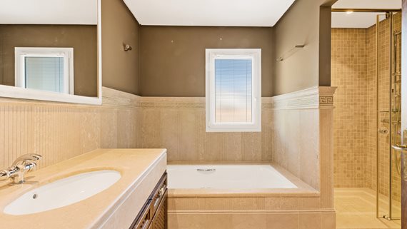 Villa Haveli_20 image